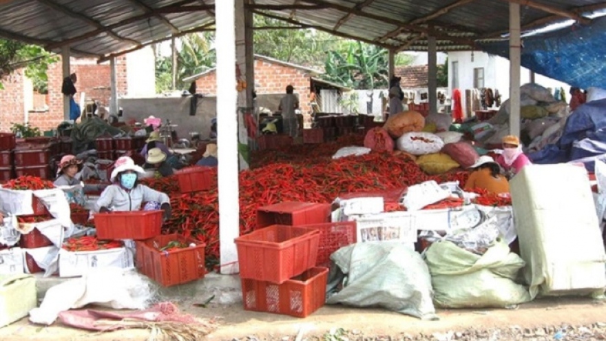 China has not imposed ban on Vietnamese chili imports